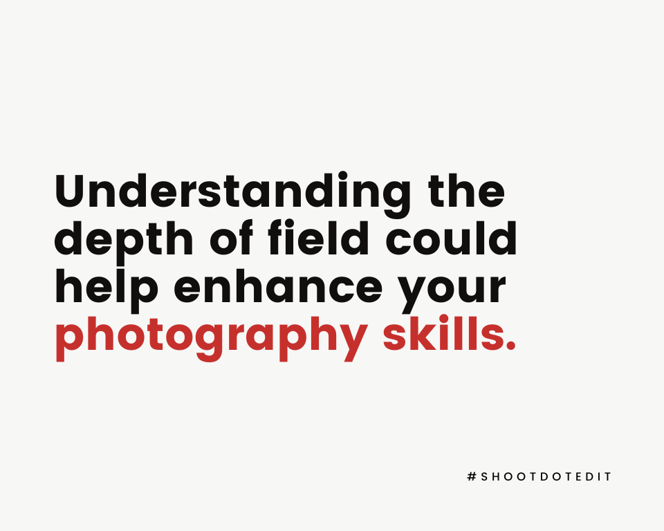 Infographic stating understanding the depth of field could help enhance your photography skills
