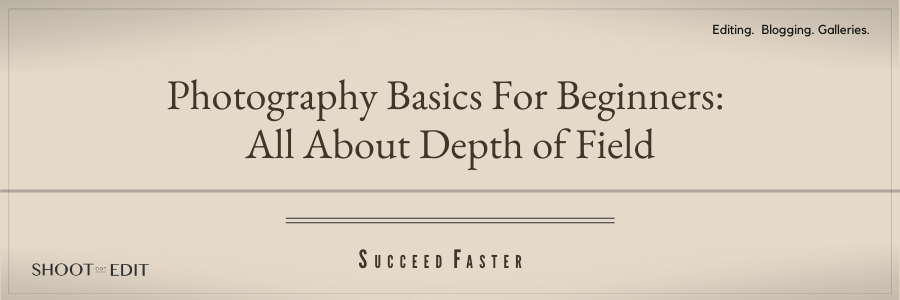 Photography Basics For Beginners: All About Depth of Field
