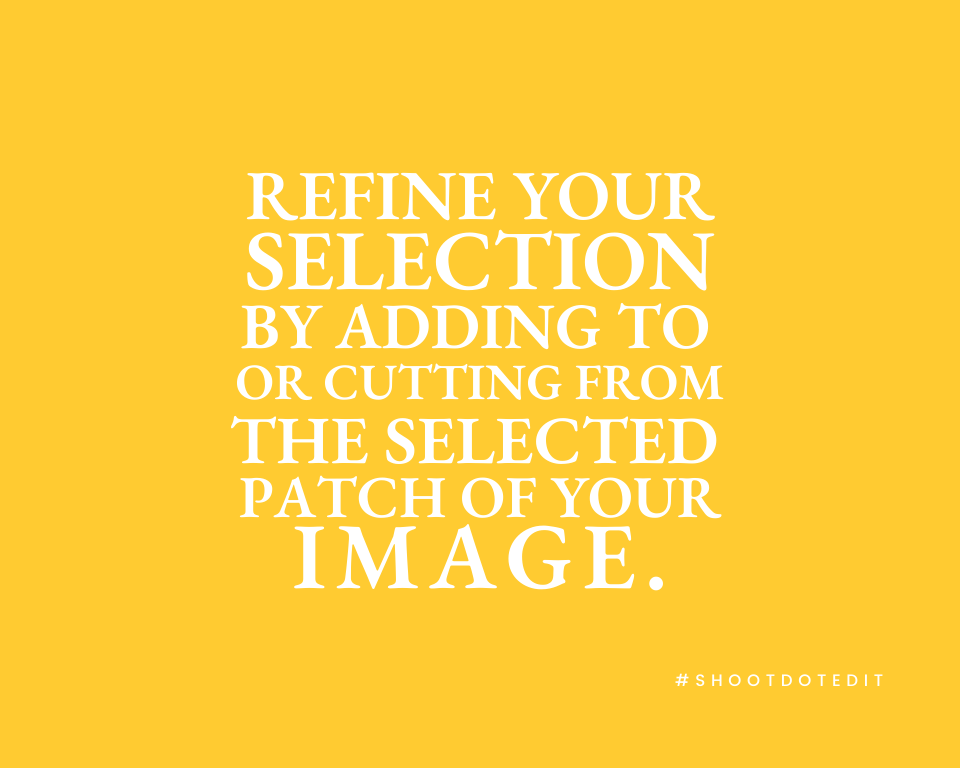Infographic stating refine your selection by adding to or cutting from the selected patch of your image