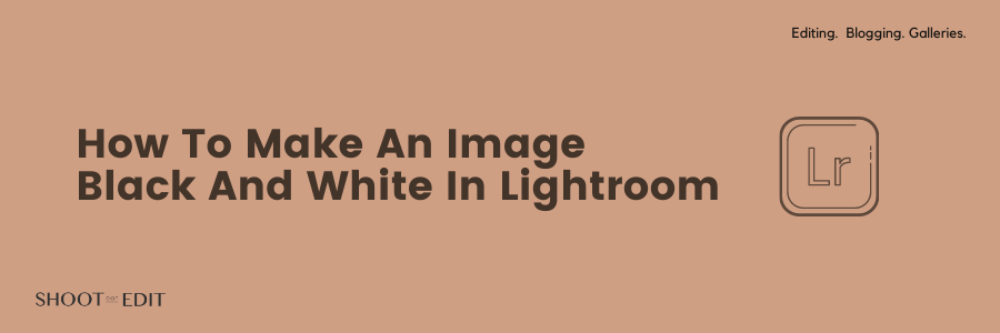 How to Make an Image Black and White in Lightroom