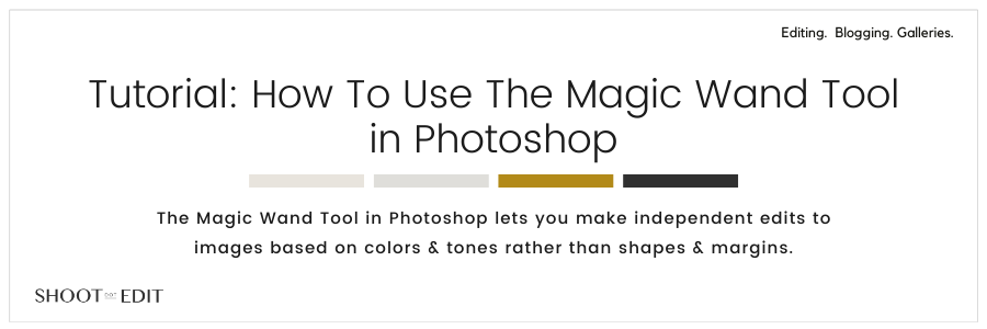 Infographic stating how to use the magic wand tool in Photoshop