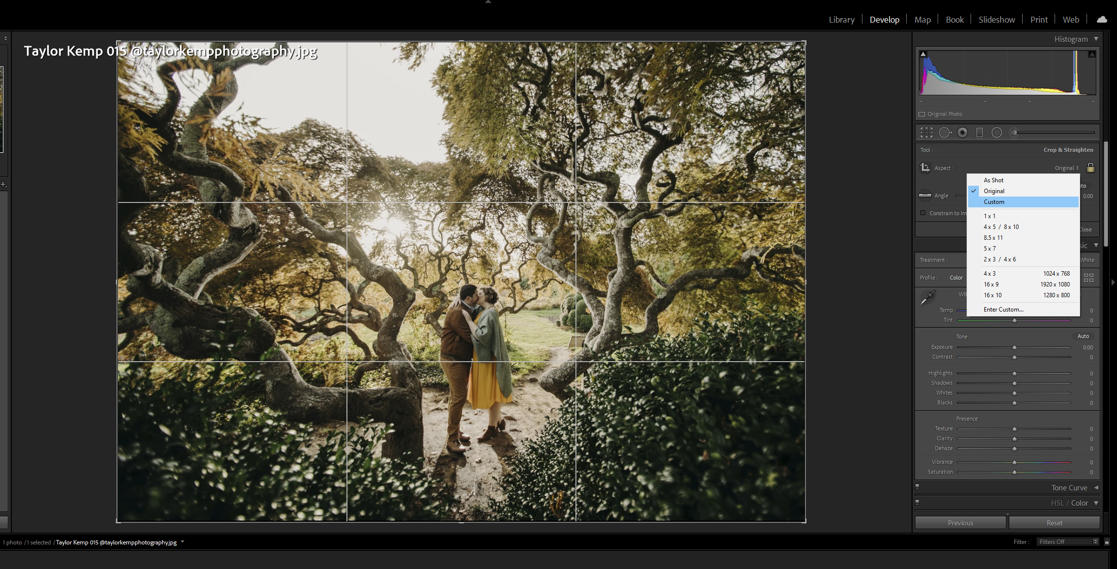 Changing aspect ratio in Lightroom