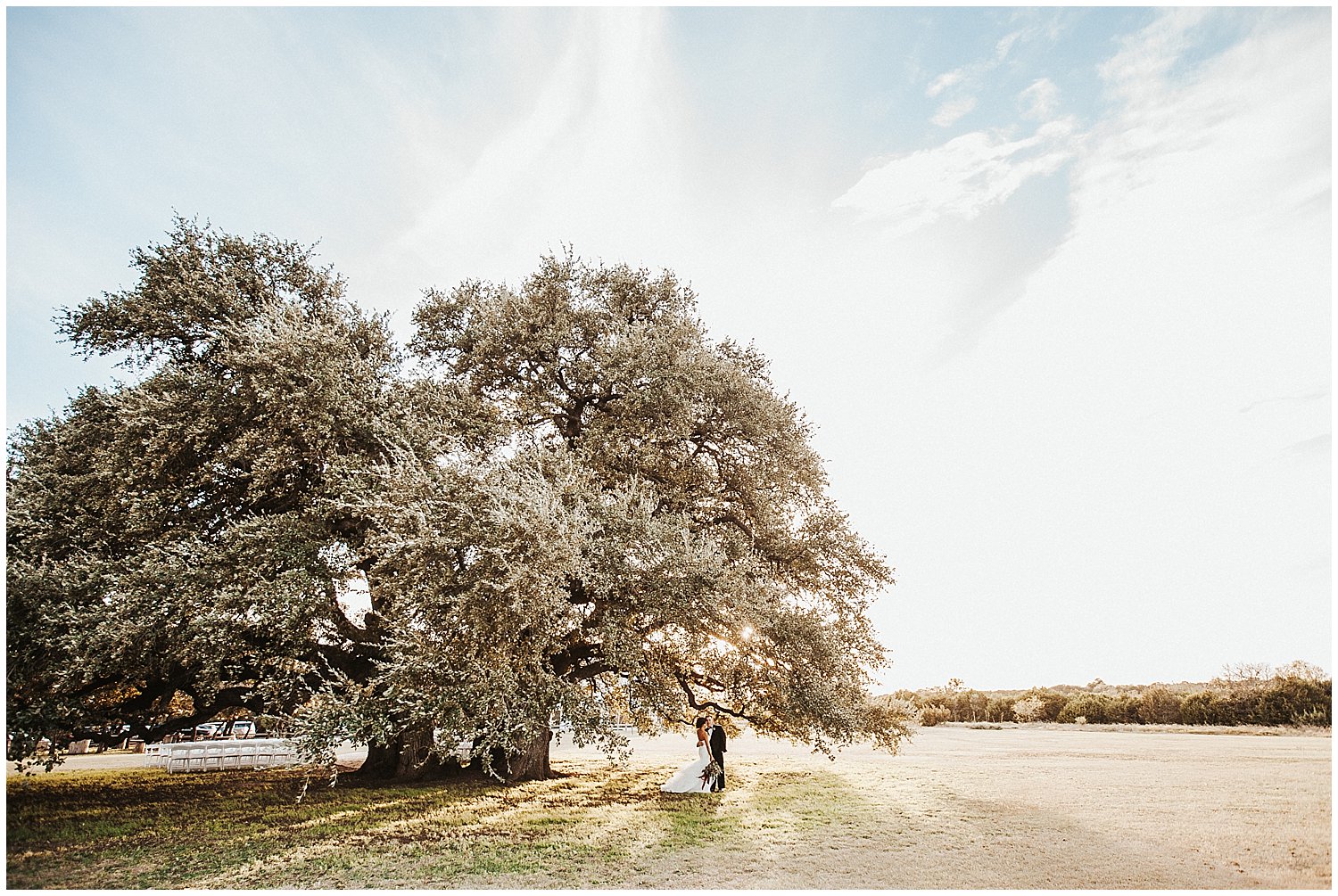 A landscape frame of a bride and groom posing near a tree