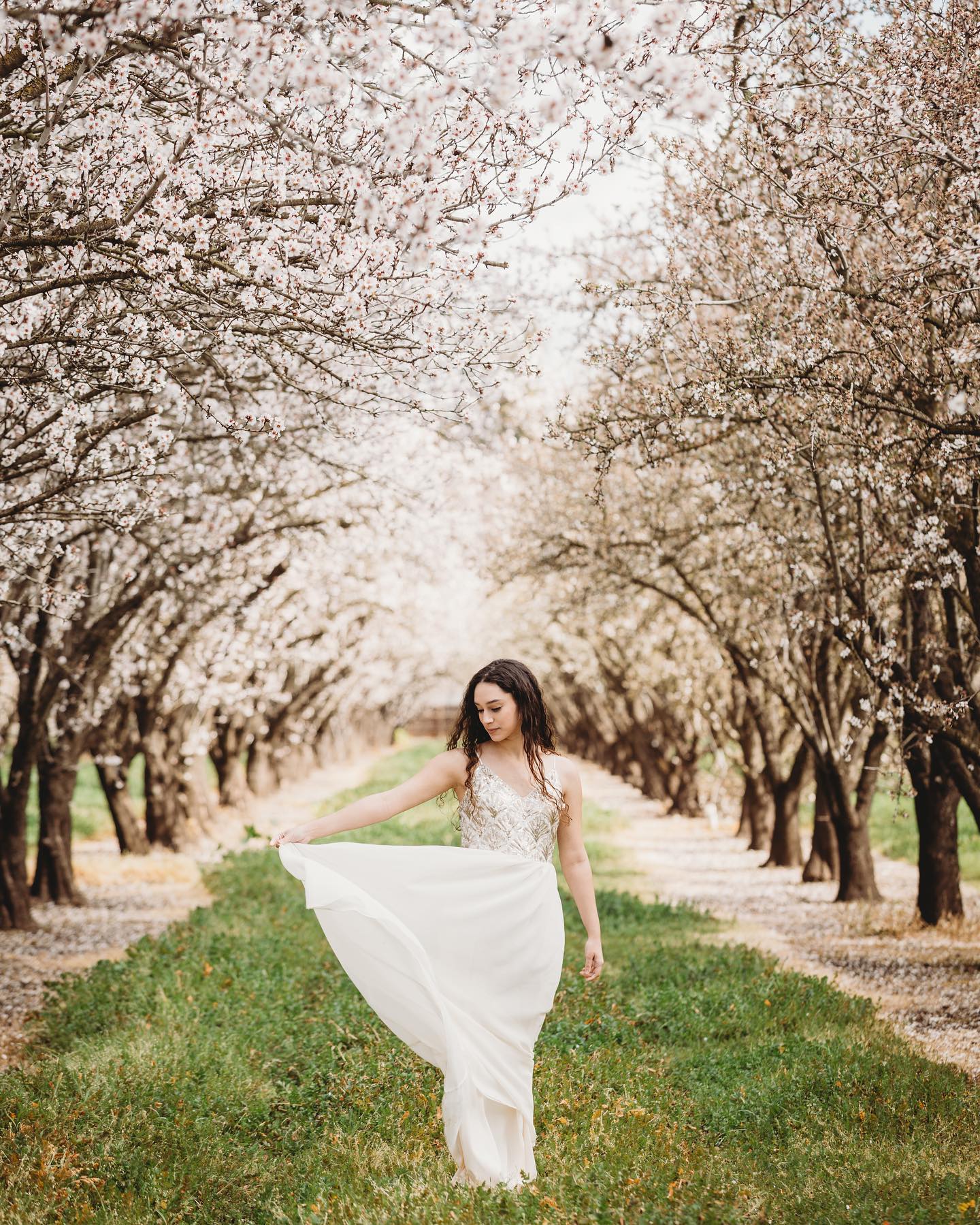 A bride posing in front of a lane decorated with cherry blossoms